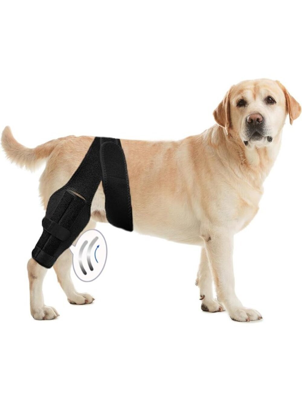 Tinzum "S" Dog Leg Braces for Back Leg Support Cruciate Ligament Injury-Torn Acl